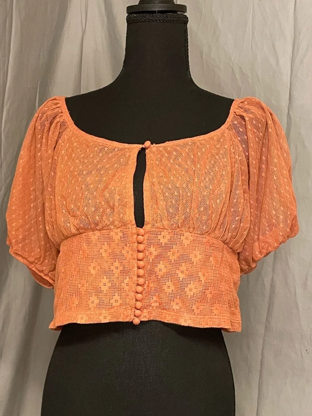 Free People Terra Cotta Puff-Sleeve Smocked Crop Top